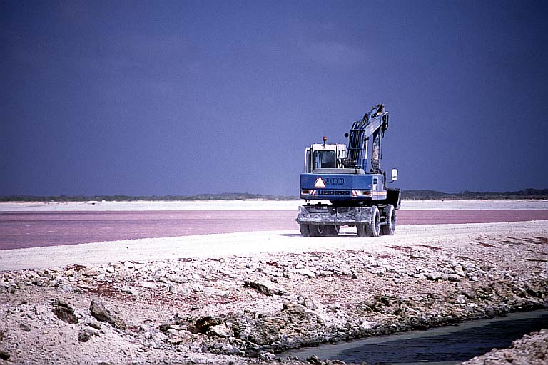 Salt Works Tractor