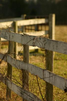 Amish-School-No-6-Fence.jpg