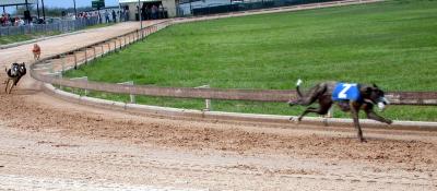 March 2004 Greyhound Preliminaries In Lorena