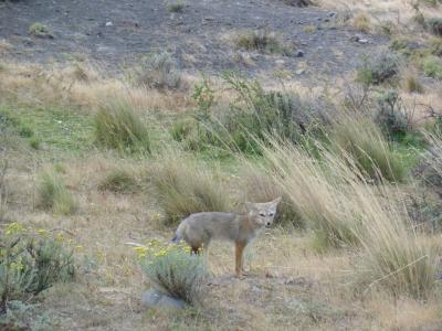 Where's my den?