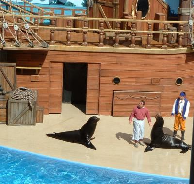 Otter and Sea Lion, Sea World, Orlando, FL