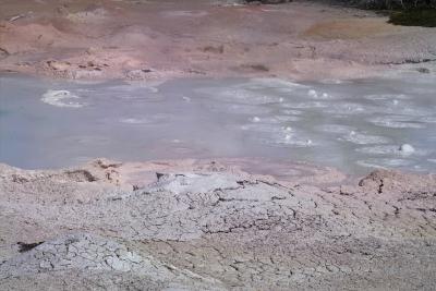 Fountain Paint Pot