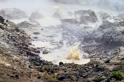 mud spring