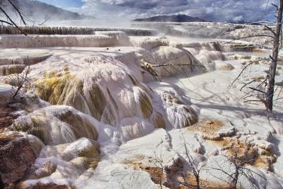 Mammoth Hot Springs Terraces