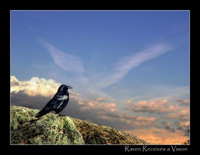 8-04raven2.jpg
