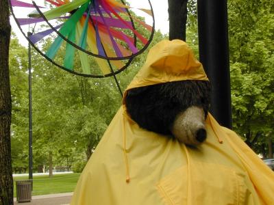 What a Rainy Day