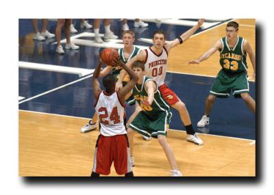 AVES BASKETBALL