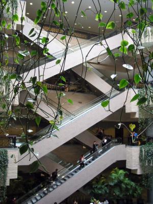 u41/ytao/medium/26599692.IMG_5720.jpg