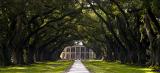 Oak Alley Plantation