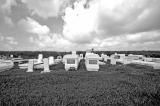 Sugarcane Graveyard