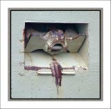 heavy anchor