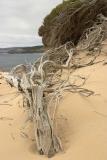 Indijup, Leeuwin-Naturaliste National Park, Western Australia.