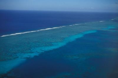View of Reef from Plane