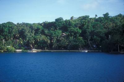 Yap Shoreline