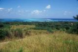 View of the Pacific