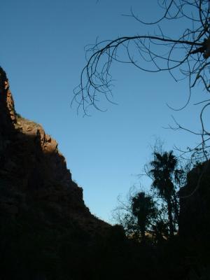 Dusk in the canyon