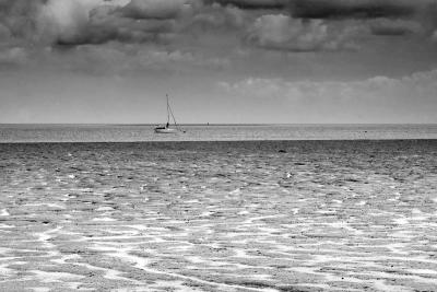 ED1S2367-copy.jpg