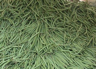 Green Beans