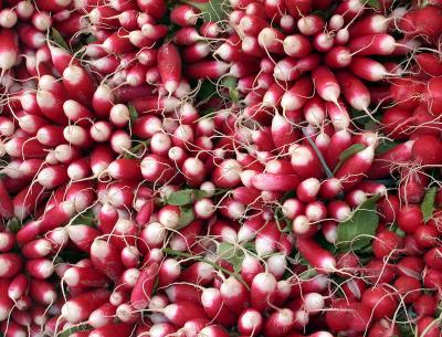 Radishes