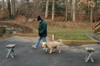 Learning to heel on a cold and windy day