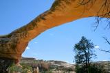 Owachomo Bridge, Natural Bridges National Monument