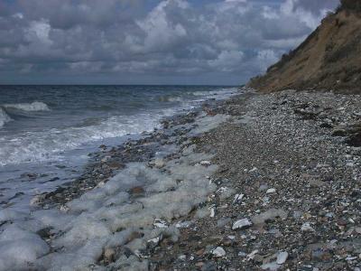Coast at Nsby Dale