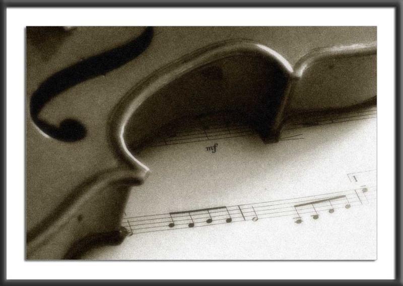 28.03.2004<br>Violin