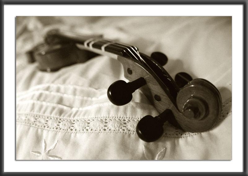 30.03.2004<br>Violin
