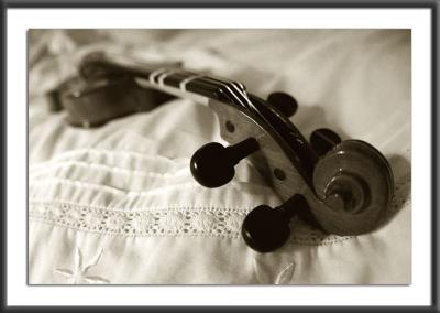 30.03.2004<br>Violin