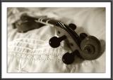 30.03.2004<br>Violin