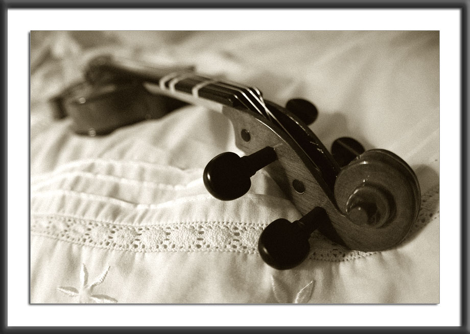 30.03.2004<br>Violin