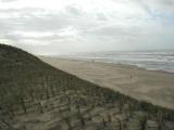 Sand dunes on the Dutch coast,, October 2000