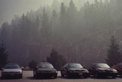 Hazy Subarus