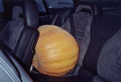 Suede (escaine) SVX interior, with gourd