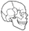 skull_button.gif