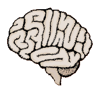 Brain graphic