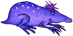 Critter