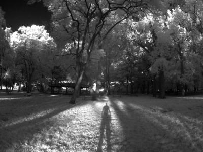 e--IR-shadow---S30-B&W-093-.jpg
