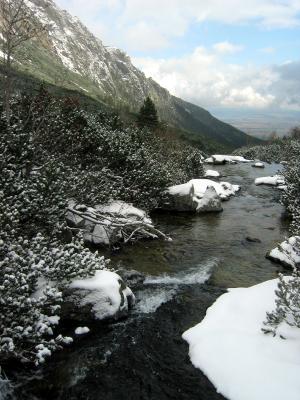 icy Tatra stream, Slovakia