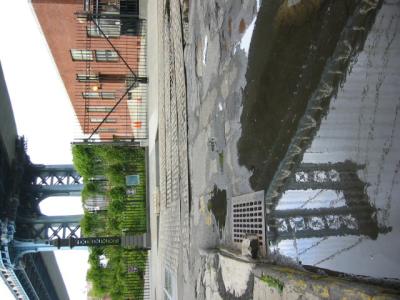 IMG_4118.JPG