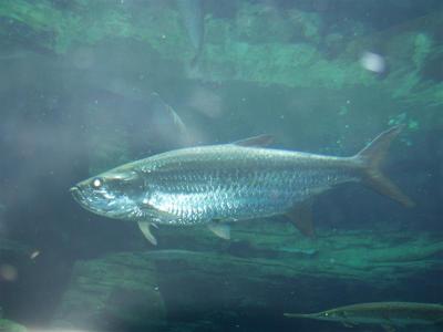 PC024917 (Medium).JPG