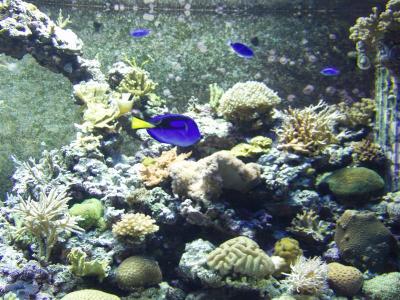 PC024925 (Medium).JPG