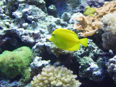 PC024933 (Medium).JPG