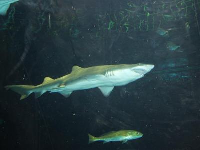 PC024989 (Medium).JPG