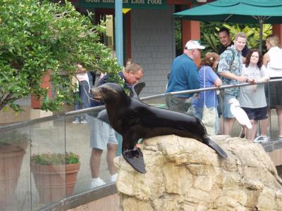 SeaWorld