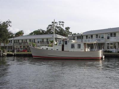 PC075152 (Medium).JPG