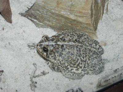 PC075183 (Medium).JPG
