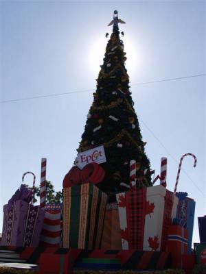 PB290024 (Medium).JPG