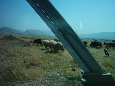u42/antlegg/medium/34184933.IMG_2670.jpg