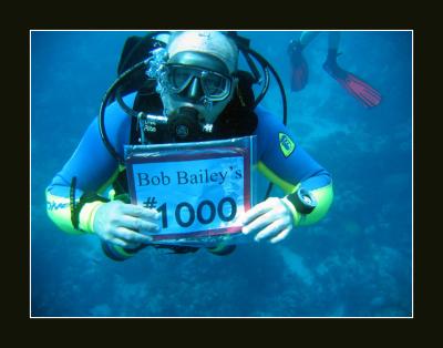 Bonaire Revisited
